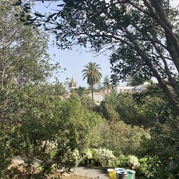 Parque de El Drago - Parks Near Me - Icod De Los Vinos, TF