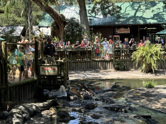 St. Augustine Alligator Farm Zoological Park by null