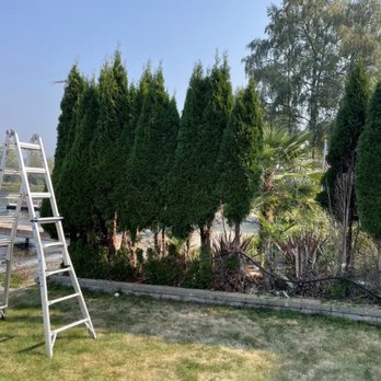 HBD Home & Maintenance - More tree trimming - Handyman Near Me HBD Home & Maintenance - More tree trimming - Handyman Near Me