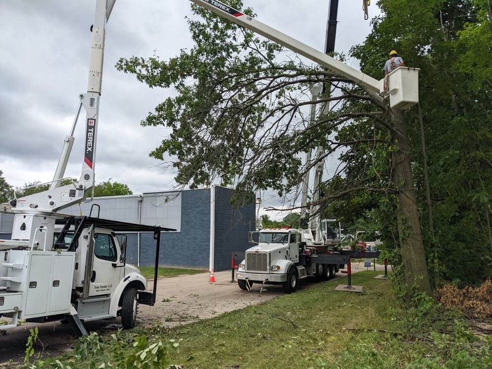 Tree Tender - tree service in West Salem, OH