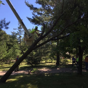 Northern Tree and Landscaped - Tree Services Near Me - Pillager, Minnesota Northern Tree and Landscaped - Tree Services Near Me - Pillager, Minnesota