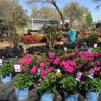 Anderson Custom Landscaping - Anderson Garden Center In in Flint, Tex - Landscaping Near Me - Flint, Texas