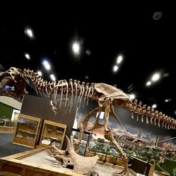 T-Rex T-Rex