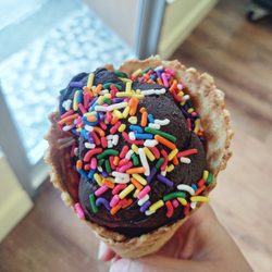 Penny Lick Ice Cream - Vegan dark chocolate coconut ice cream with rainbow sprinkles in a sugar cone