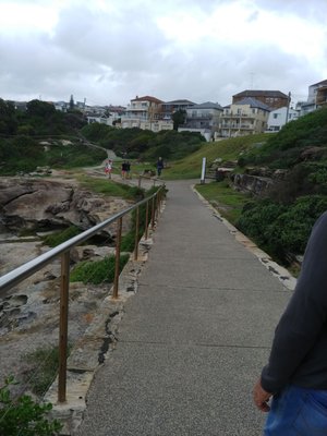 Bondi to Coogee Walk by null