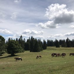 Auberge du Grand Sommartel - Panorama devant l'auberge