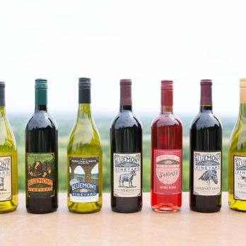 Bluemont Vineyard - How can I pick a favorite!? - Venues & Event Spaces Near Me - Bluemont, Virginia Bluemont Vineyard - How can I pick a favorite!? - Venues & Event Spaces Near Me - Bluemont, Virginia