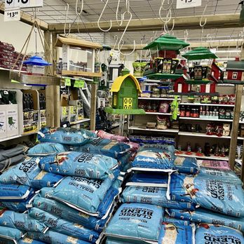 Rural King - Birdseed - birds were present to vouch for its yumminess. - Home & Garden Near Me - Collinsville, Illinois