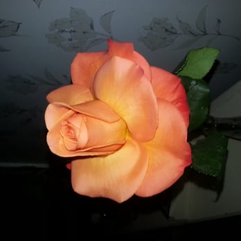 Le Bouquet - Dollar roses on Fridays - Florists Near Me - Willowbrook, Illinois