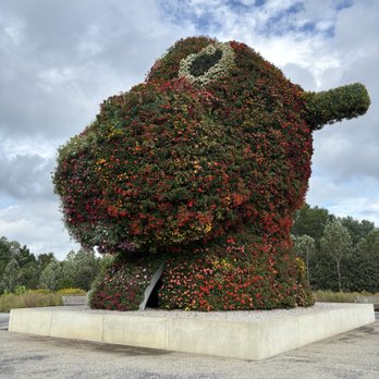 Glenstone - Koons - Art Museums Near Me - Potomac, Maryland