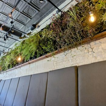 Wolf's Ridge Brewing - The living wall - Breweries Near Me - Columbus, Ohio Wolf's Ridge Brewing - The living wall - Breweries Near Me - Columbus, Ohio