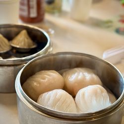 Lunasia Dim Sum House - Shrimp dumplings