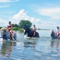 Cypress Breeze Beach Horseback Rides - Beach Rides and Swimming with horses