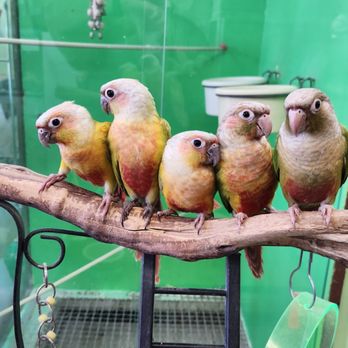 Pettin Place - Pet Stores Near Me - Reno, Nevada Pettin Place - Pet Stores Near Me - Reno, Nevada