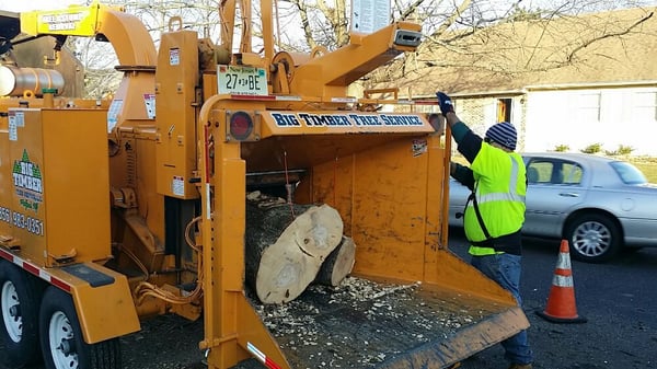 Big Timber Tree Service Equipment - The Best Tree Company in Marlton, NJ - Welcome to Big Timber Tree Service LLC

From experienced climbers and tree cutters to expert arborists, Big Timber is the premier tree company in South Jersey and the surrounding communities. The job may be complicated, but our mission is simple: to provide you with the absolute best solutions no matter the task.

Our track record backs us up: with a 5-star Google rating, A+ rating from the BBB, and a 30-year history of satisfied clients and customers, we have built a tree company that is committed to “raising-the-branch” of quality, service, and customer satisfaction. We’re also proud to be registered with the New Jersey Board of Tree Experts. If you live in any of the following areas, Big Timber is here for you:

Burlington County
Camden County
Cherry Hill
Marlton
Medford
Haddon Township
Haddon Heights
Pennsauken
Mt. Laurel
And more! Contact us to see if we provide service in your location.