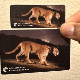 In memory of LA's beloved big cat P-22: R.I.P. In memory of LA's beloved big cat P-22: R.I.P.