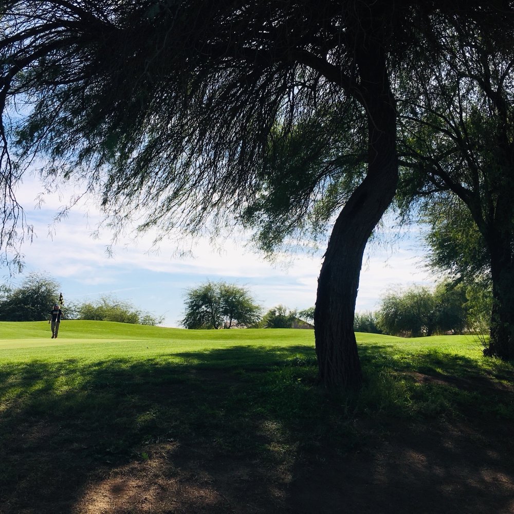 Springfield Golf Resort - Golf Near Me - Chandler, Arizona