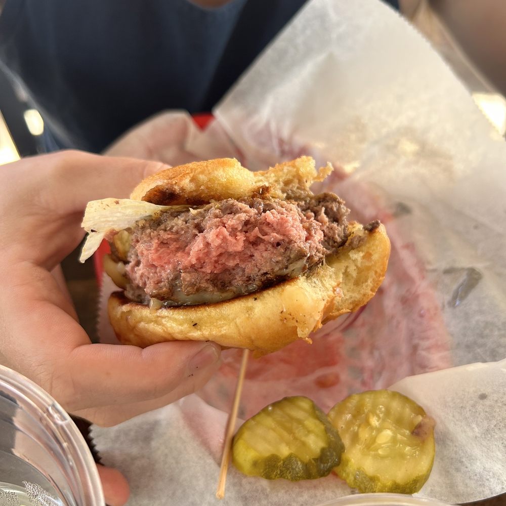 a person holding a hamburger