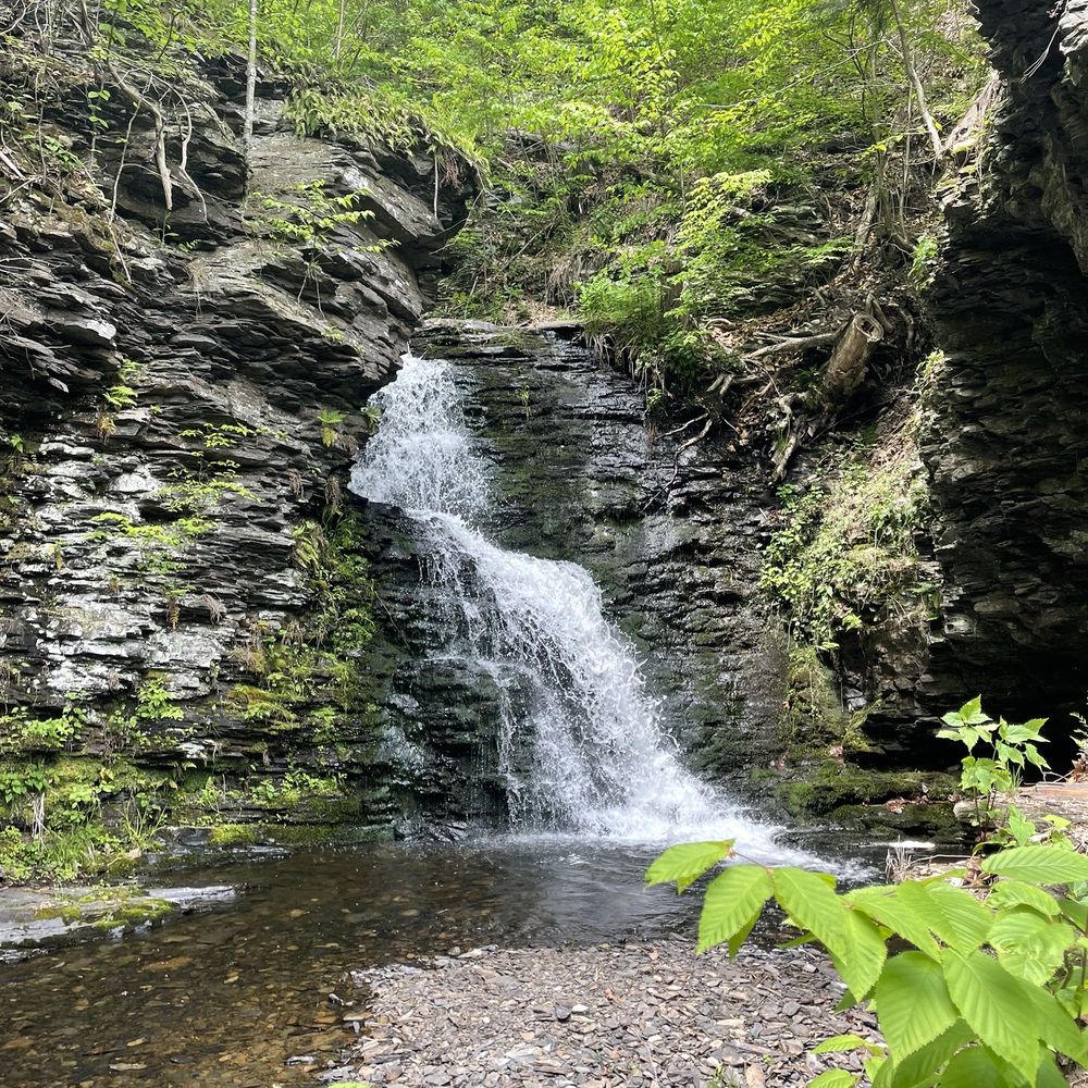 Bushkill Falls - Tours Near Me - Bushkill, Pennsylvania Bushkill Falls - Tours Near Me - Bushkill, Pennsylvania