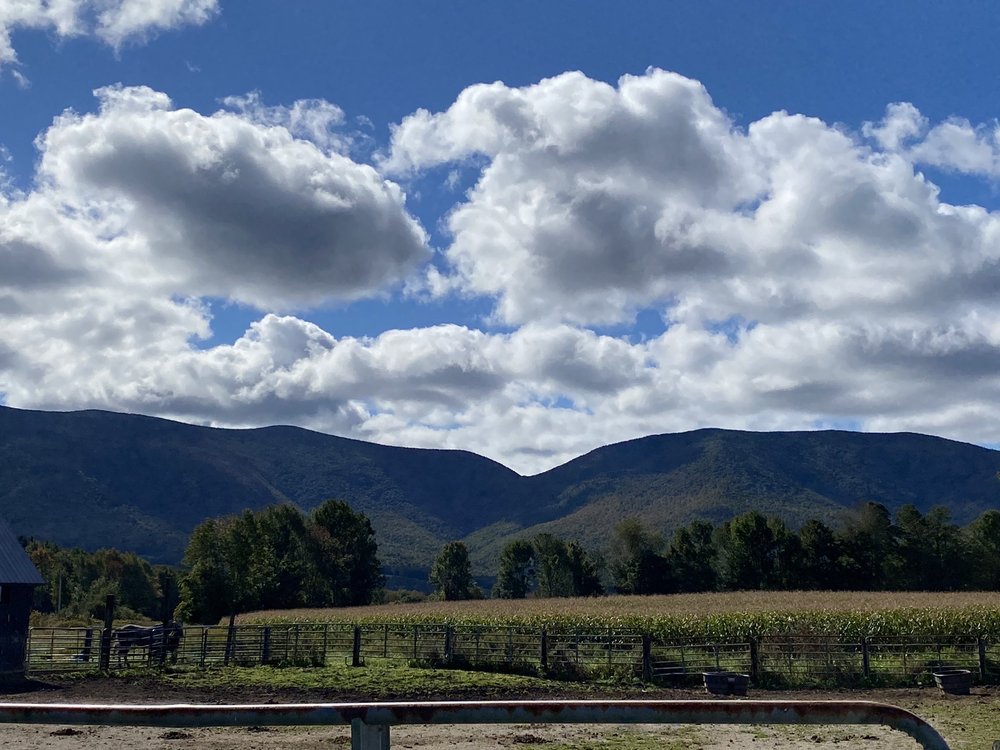 CHIPMAN STABLES Updated October 2024 33 Danby Pawlet Rd, Danby