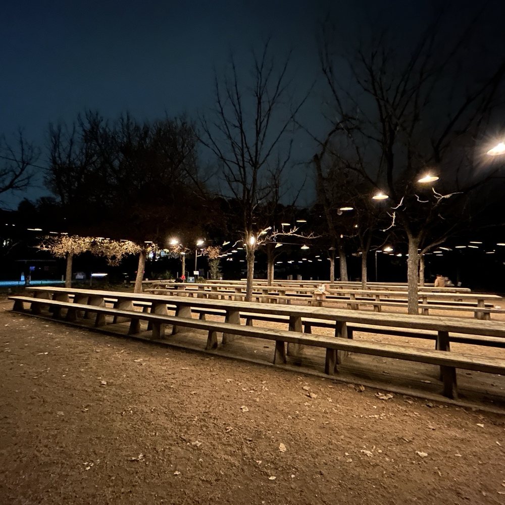 Pease Park - Parks Near Me - Austin, Texas Pease Park - Parks Near Me - Austin, Texas