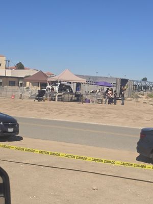 High Desert Farmer’s Market by null