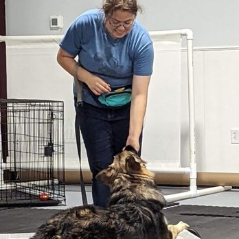 Arfordable Dog Training - Pet Training Near Me - Converse, Texas Arfordable Dog Training - Pet Training Near Me - Converse, Texas