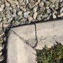Photo of Curb Guys AZ