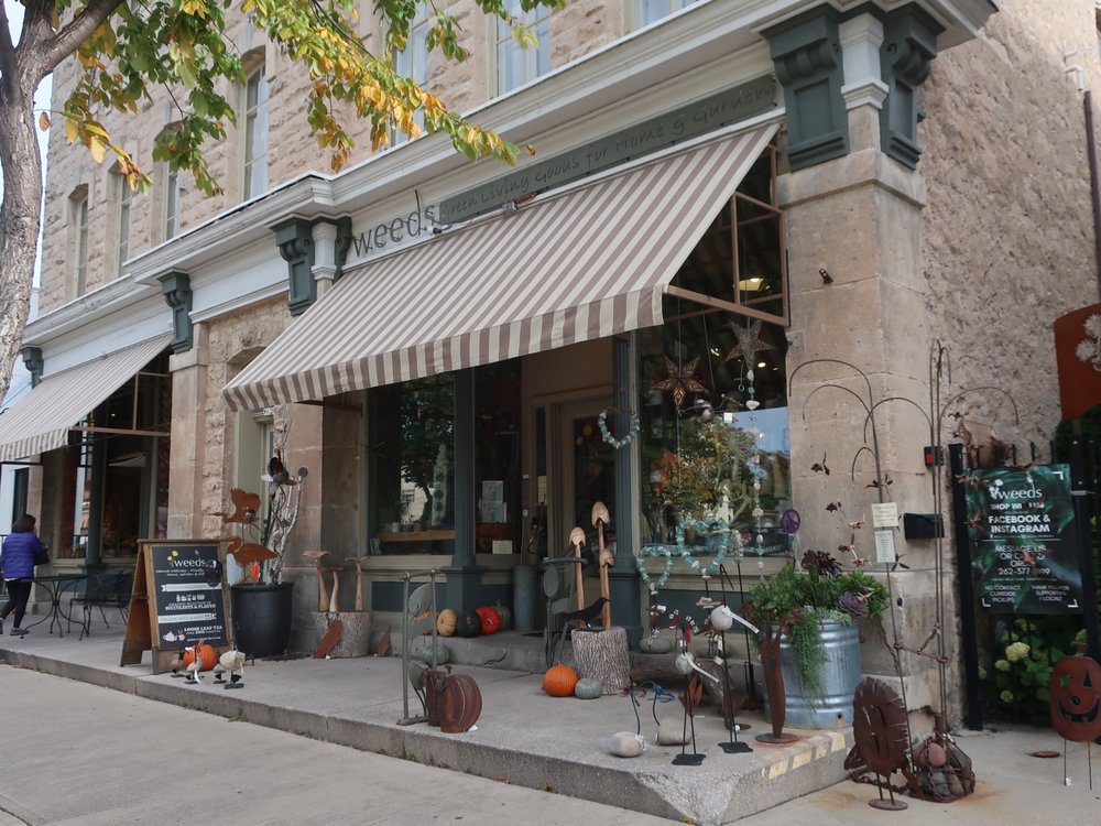 WEEDS Updated September 2024 17 Photos & 20 Reviews W62 N588