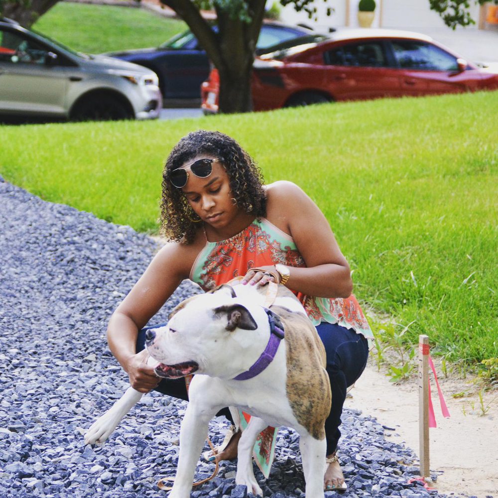 DOORSTEP VETERINARY CARE 38 Photos Clinton, Maryland