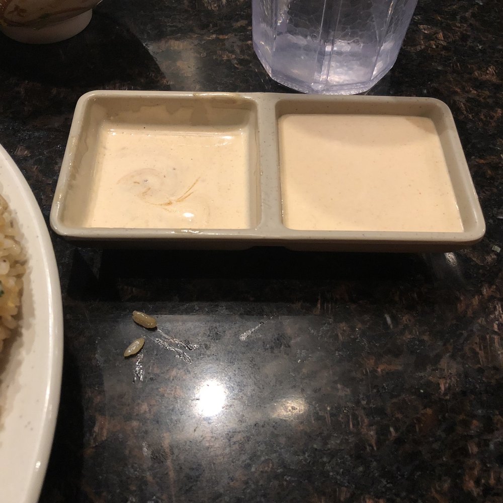 Kobe Restaurant - YUM YUM - Japanese Near Me - Minneapolis, Minnesota