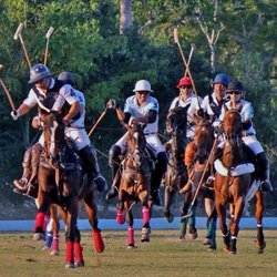 Legends Horse Ranch