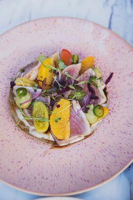 Crudo Ceviche & Oyster Bar by null