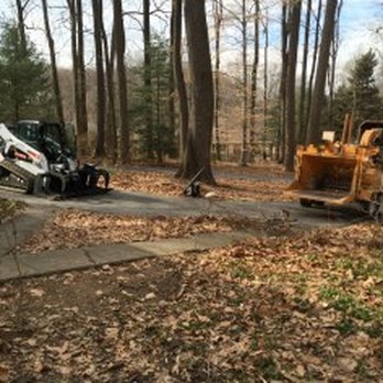 Manor Tree Service - Tree Service - Tree Services Near Me - Glen Arm, Maryland