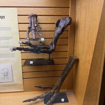 Orlando Science Center - Museums Near Me - Orlando, Florida