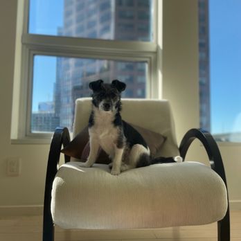 TENTEN Wilshire - Apartments Near Me - Los Angeles, California