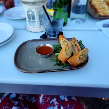 Crazy About You - Spring Rolls - Mediterranean Near Me - Miami, Florida Crazy About You - Spring Rolls - Mediterranean Near Me - Miami, Florida