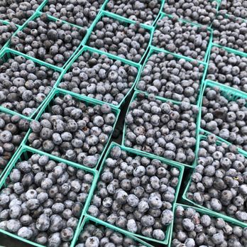 Wheaton French Market - Fresh blueberries and they were amazing! - Farmers Market Near Me - Wheaton, Illinois