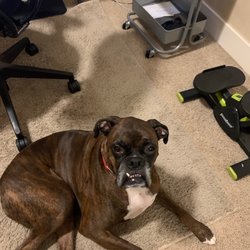 Riverbrook Animal and Eye Clinic