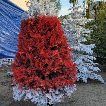 Liberty Christmas Trees - Christmas Trees Near Me - Palm Desert, California Liberty Christmas Trees - Christmas Trees Near Me - Palm Desert, California