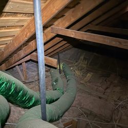 Attic Rescue