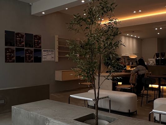 Coffee Lunar by null