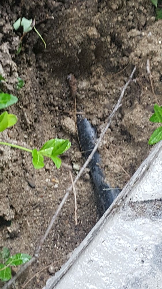 DAN’S STAMPED CONCRETE Updated June 2024 4718 Davison Rd, Lapeer