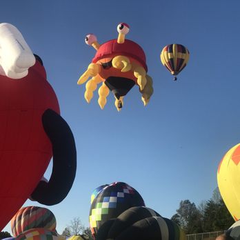 Carolina Balloon Fest - Hot Air Balloons Near Me - Statesville, North Carolina