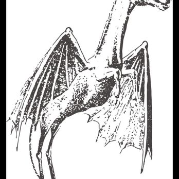 New Jersey Devils - The mythological Jersey Devil. Posted with review 01/10/23 - Professional Sports Teams Near Me