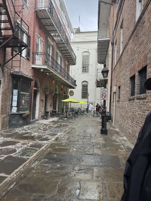 Nola Tour Guy by null