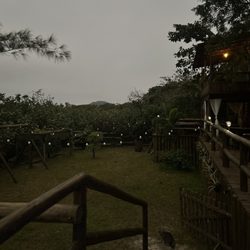 Hotel Pousada Praia do Farol - The backyard