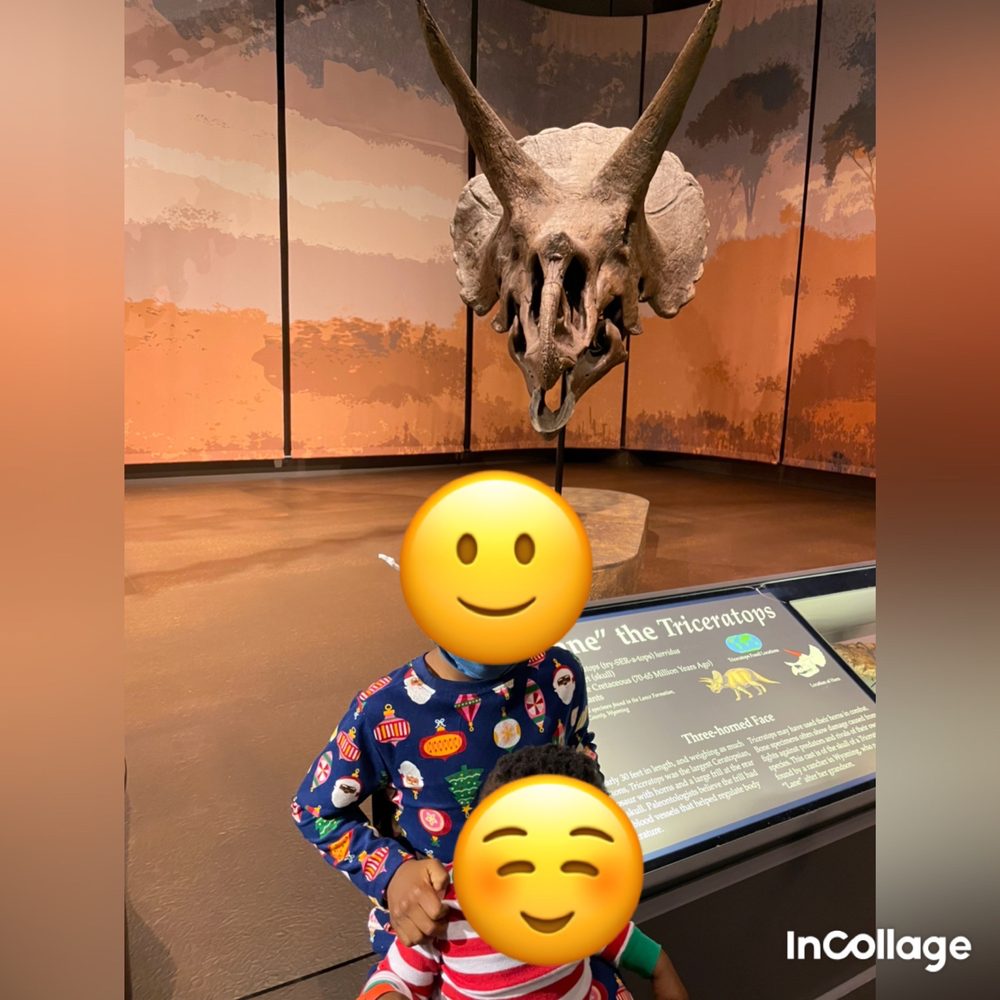 Tellus Science Museum, Cartersville Roadtrippers