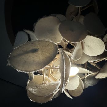 VERDURE - Thick dust on lights in Men's room - The image shows a ceiling light fixture with several round shades, which are covered in a layer of dust. The fixture is illuminated from below, casting light on the dusty shades. The background is dark, emphasizing the fixture and the dust accumulation on the shades. - Gyms Near Me - Amarillo, Texas