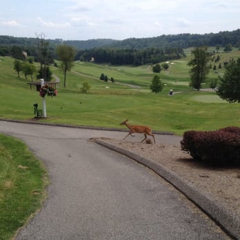 Oglebay Park Resort - Deer crossing. - Parks Near Me - Wheeling, West Virginia Oglebay Park Resort - Deer crossing. - Parks Near Me - Wheeling, West Virginia